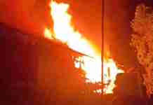 Kandang Ayam di Rajadesa Ciamis Terbakar, Kerugian Ditaksir Capai Rp400 Juta