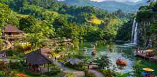 Wisata viral bogor