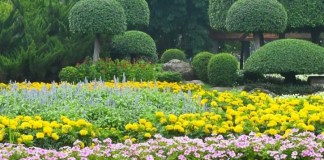 Rekomendasi Kebun Bunga