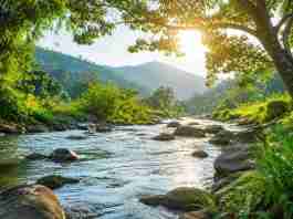 Hari Sungai Nasional