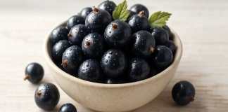Nutrisi dan Manfaat Blackcurrant
